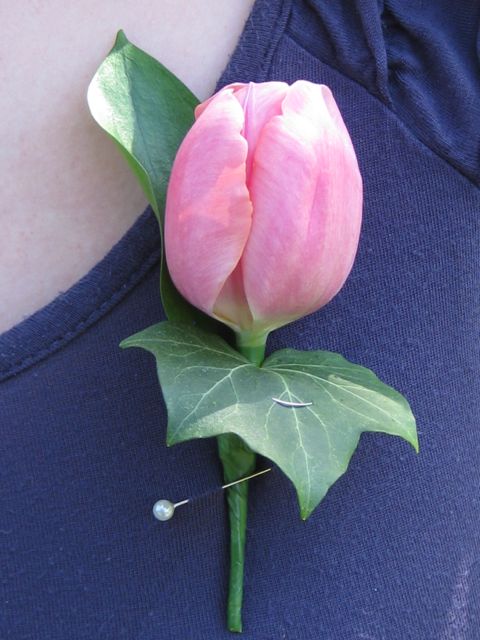 Tulip Buttonhole